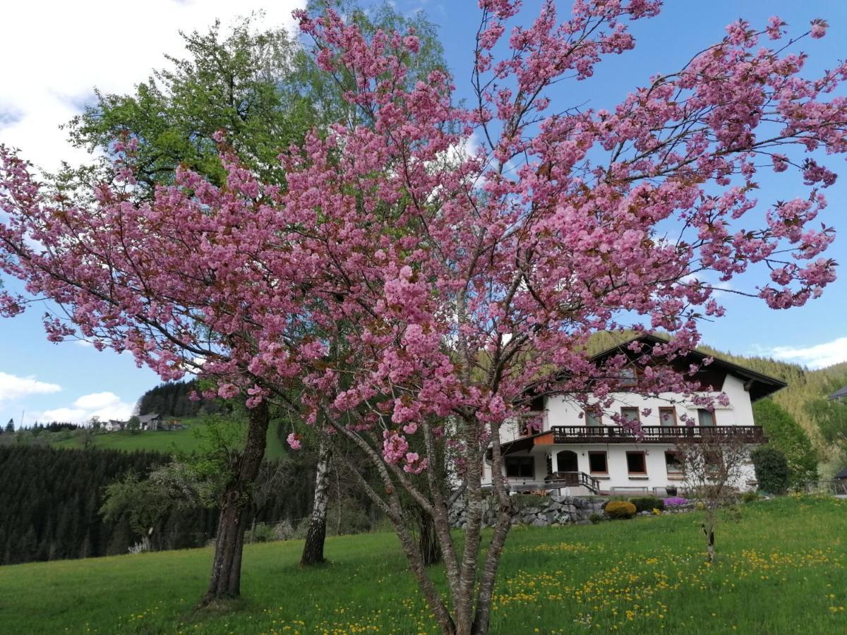 Villa Sinsamreith, Familie Ensmann Göstling an der Ybbs Exterior foto